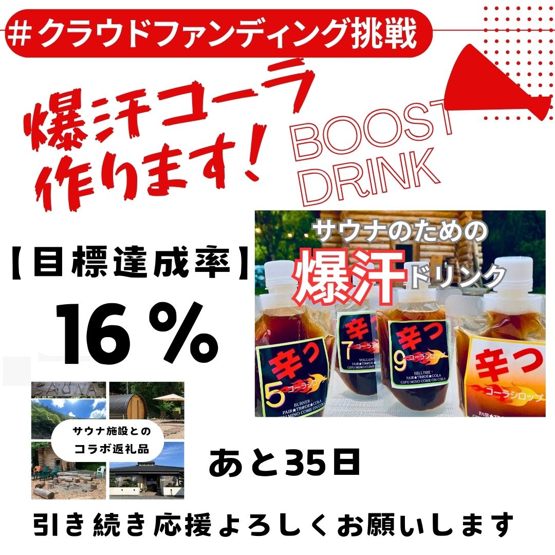 クラウドファンディング 達成状況