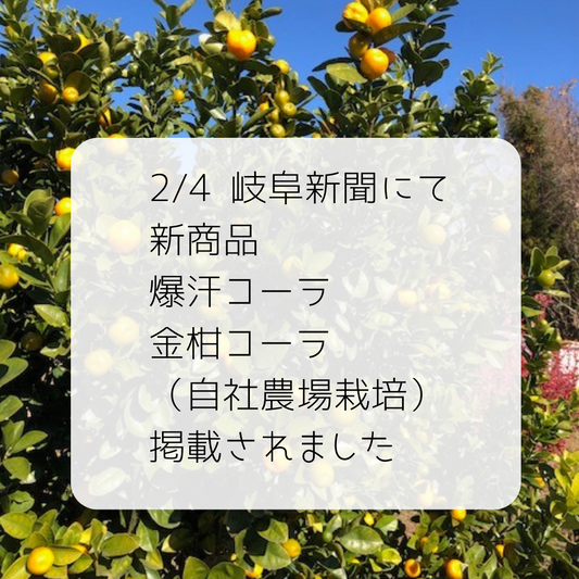 2/4岐阜新聞に新商品が掲載されました。 【爆汗コーラ】は近年のサウナブームを受け、プレサウナドリンクとして開発しました。5辛、7辛、9辛の3種類を試飲会で飲んで頂いたところ好感触でした。 【金柑コーラ】は市内の自社農場で無農薬栽培する金柑をフェアトレードコーラに加えました。特有のまろやかな酸味や香りが特徴です。 2月中旬に発売予定です。