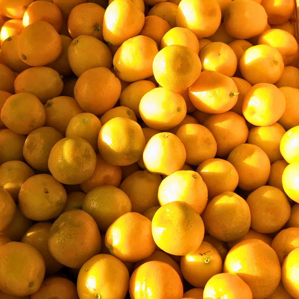 岐阜・美濃加茂の自然豊かな環境で作られた金柑コーラ (Kinkan Cola)は、金柑のフレッシュで甘い香りとほんのりとした苦味が絶妙に調和した、自然派のシロップです。たっぷりの柑橘を使用し、無添加で手作りされたこのシロップは、健康や美容をサポートするビタミンたっぷりの贅沢な一品です。
季節限定のため、旬の新鮮な素材だけを使用した限定シロップとして特別感があります。リラックスしたい時や、ストレス解消、疲労回復、そして免疫力アップにもおすすめ!温かい飲み物としてホットで楽しんだり、炭酸割りやソーダ、牛乳割りで爽やかに、さらにスイーツやデザートのアレンジにもピッタリ。
美濃加茂や岐阜からお届けするこの贅沢なシロップは、ふるさと納税やギフト、お中元、お歳暮などの贈り物としても大変人気です。自然の恵みが詰まった安心、安全な商品で、家族や子供も楽しめる健康志向の一品。
甘すぎない自然な味わいで、おしゃれで映えるボトルデザインは、カフェタイムや自分だけの特別な時間にも最適。リフレッシュ効果抜群のこのナチュラルなシロップで、心地よいひとときをお楽しみください。
ぜひ、このプレミアムな一品を手に取り、旬の味覚と特別な