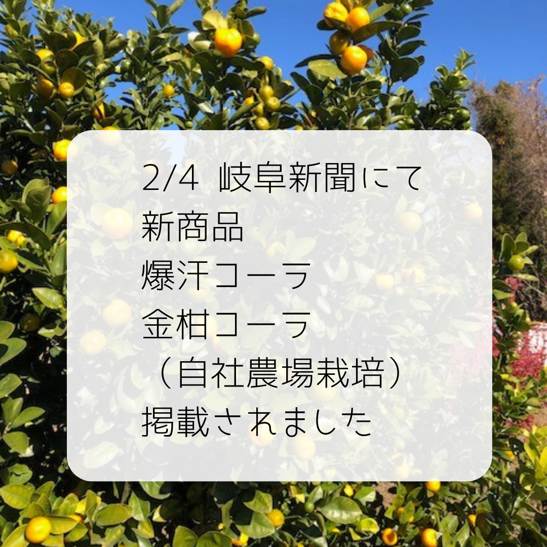 2/4岐阜新聞に新商品が掲載されました。 【爆汗コーラ】は近年のサウナブームを受け、プレサウナドリンクとして開発しました。5辛、7辛、9辛の3種類を試飲会で飲んで頂いたところ好感触でした。  【金柑コーラ】は市内の自社農場で無農薬栽培する金柑をフェアトレードコーラに加えました。特有のまろやかな酸味や香りが特徴です。  ２月中旬に発売予定です。